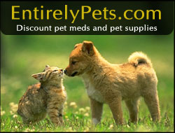 Discount Pet Supplies