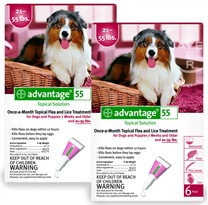 12 MONTH Advantage Flea Control Red: For Dogs 21-55lbs.