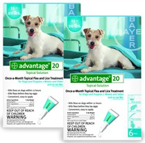 12 MONTH Advantage Flea Control Teal: For Dogs 11-20lbs.