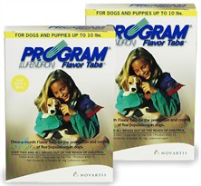 12 MONTH PROGRAM Brown: For Dogs up to 10 lbs