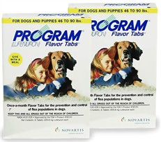 12 MONTH PROGRAM White: For Dogs 46-90 lbs