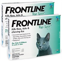 12 MONTH Frontline Top Spot for Cats and Kittens