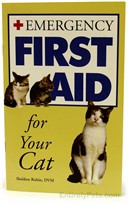 Emergency First Aid For Your CAT