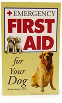 Emergency First Aid For Your DOG