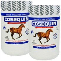 2 Pack Cosequin� EQUINE Powder Concentrate (1400 gm total)