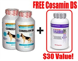 2-PACK Cosequin DS 250 Count (500 Capsules) with FREE COSAMIN DS