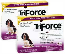 2 PACK - 3 MONTH TriForce Gold for DOGS 21-39 lbs