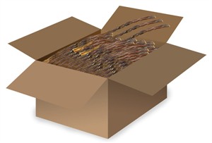 48 PACK Spizzles Australia Free Range Grilled Bully (18")