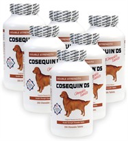 6-PACK Cosequin DS 250 Count (1500 tablets) CHEWABLES