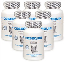 6-PACK Cosequin Regular Strength (1080 capsules)