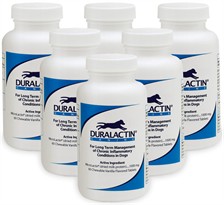 6-PACK Duralactin (360 Tablets)