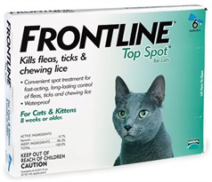 6 MONTH Frontline Top Spot for Cats and Kittens