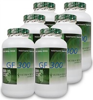 6 PACK GF 300mg (3000 tablets)