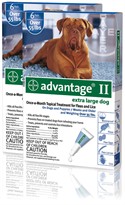 12 MONTH Advantage II Flea Control Extra Large Dog (for Dogs Over 55 lbs.)