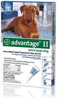 6 MONTH Advantage II Flea Control Extra Large Dog (for Dogs Over 55 lbs.)