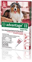 6 MONTH Advantage II Flea Control Large Dog (for Dogs 21-55 lbs.)