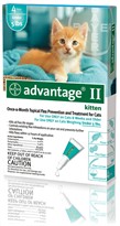4 MONTH Advantage II Flea Control Kitten (for Cats under 5 lbs.)