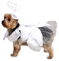 Casual Canine Angel Paws Costume - LARGE