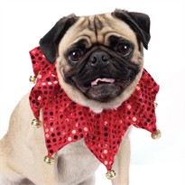 Aria Red Shimmer Scrunchy Collar For Dogs  13-16 Inch