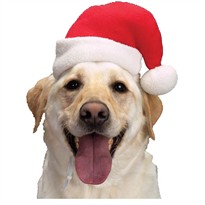 Aria Santa Hat (Large)