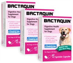 3-PACK Bactaquin Digestive Health Supplement for Dogs - 150 Sprinkle Capsules
