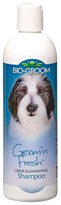 Bio-Groom Groom 'N Fresh Shampoo (12 fl oz)