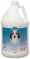 Bio-Groom Groom 'N Fresh Shampoo (1 Gallon)