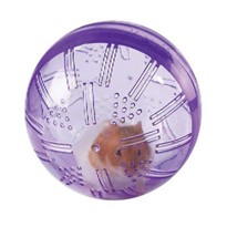 Biddie Buddies Exercise Ball (Assorted Colors)