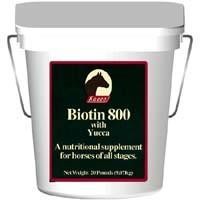 Biotin-800 Powder (6 lb)