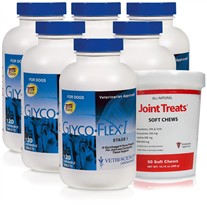 Glyco Flex I 6-PACK (720 Tablets) + FREE Joint Treats!