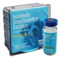Bronchicine CAe (One Dose)