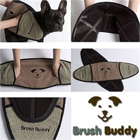 Brush Buddy