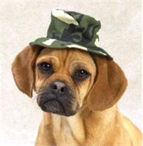 Casual Canine Green Camo Bucket Hat Large (7")