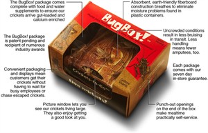 Bug Box Live Crickets (50 ct.)