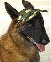 Casual Canine Camo Cap Large (8" L  x 6 1/2" W)