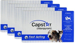4 PACK CAPSTAR Blue for Dogs or Cats 2-25 lbs(24 tablets)