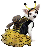 Casual Canine Bee Mine Costume Yellow - LARGE