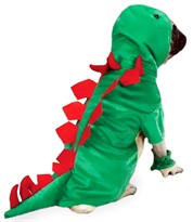 Casual Canine Dogosaurus Costume Green - SMALL