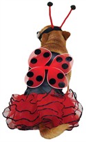 Casual Canine Lucky Bug Costume Red - LARGE