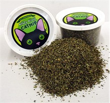 Krazy Kitty Catnip (1.5 oz)
