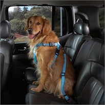 Cruising Companion Car Harness Blue - X Large