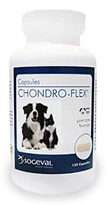 Chondro Flex CAPSULES (120 CAPS)