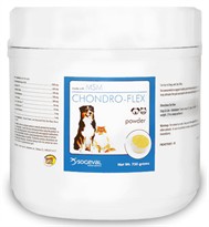 Chondro Flex  Powder (750 gm)
