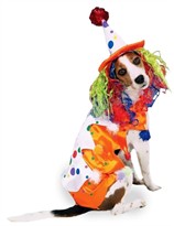 Class Clown Dog Costume - SMALL