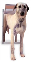 Petsafe - Classic Pet Door - X-Large Satin