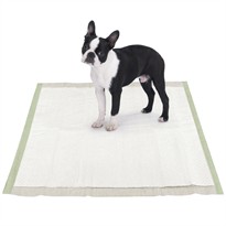 Clean Go Pet Biodegradable Puppy Pads (100 Count)