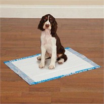 Clean Go Pet Graffiti Puppy Pads (100 Count) - Blue