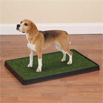 Clean Go Pet Indoor Dog Potty - 27x40 Inches