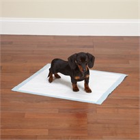 Clean Go Pet Value Puppy Pads (100 Count)