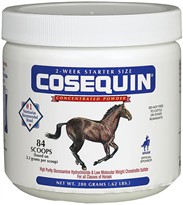 Cosequin EQUINE Powder Concentrate (280 gm)